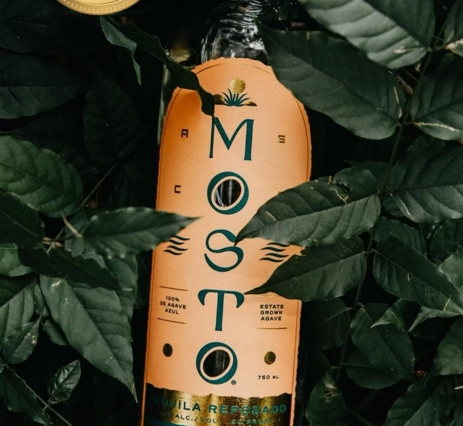 Mosto Tequila Reposado