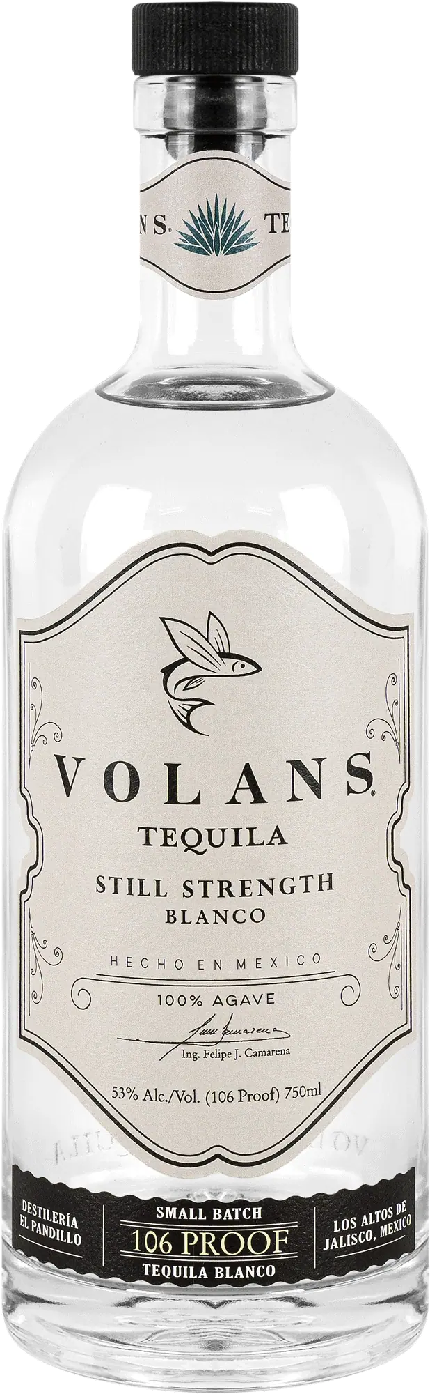 Volans Still Strength